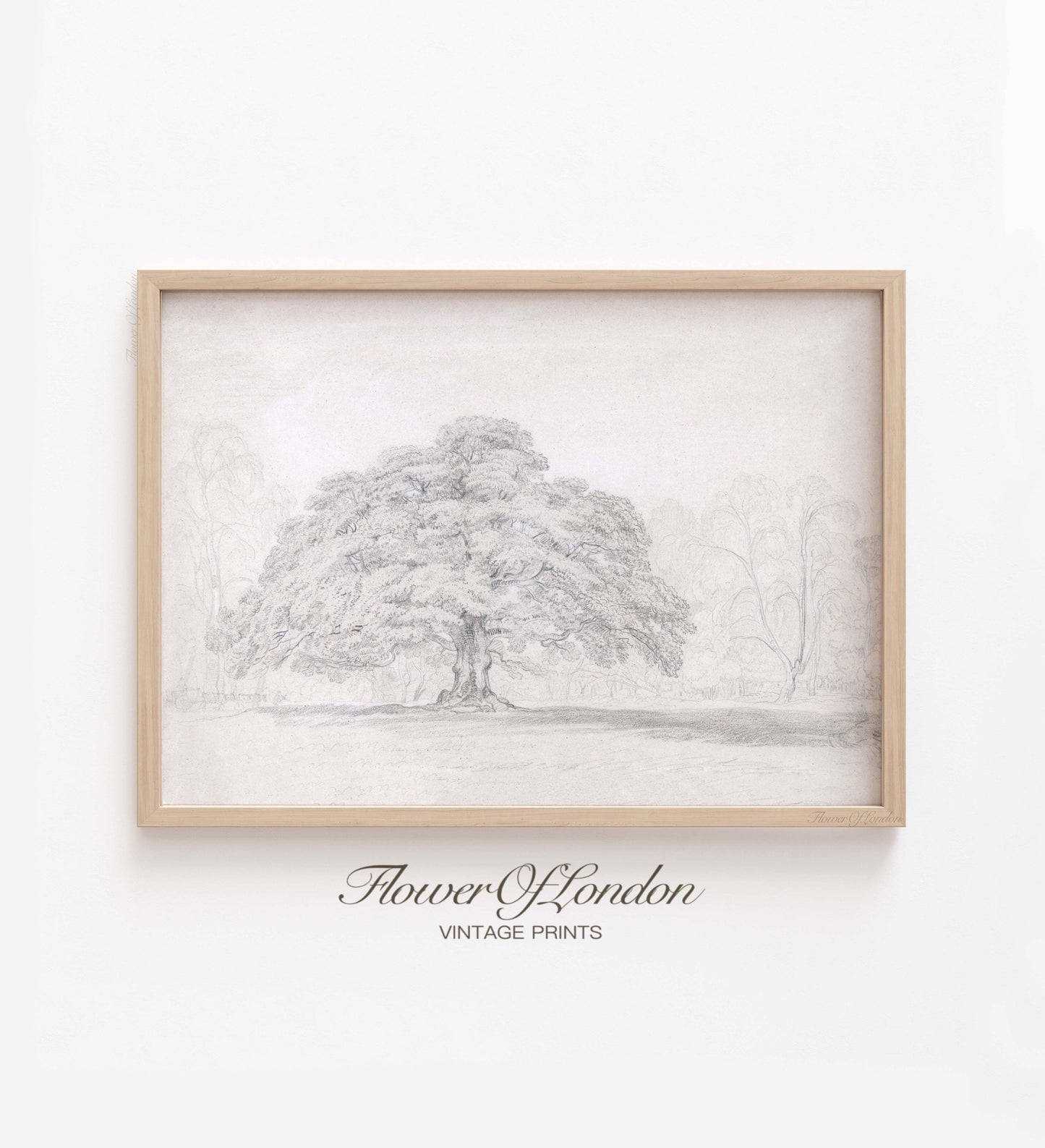 Rustic Forest Landscape Drawing | Vintage Sketch of Trees for Cozy Cottage Decor, #181