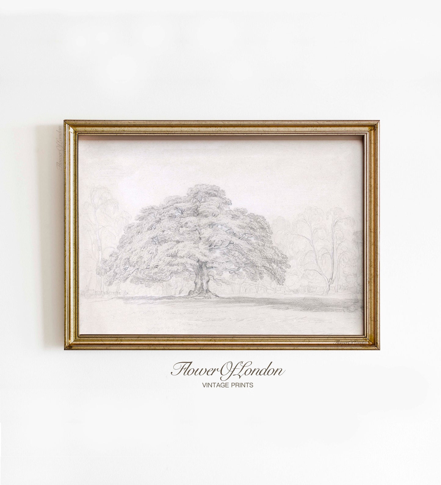 a drawing of a large tree hanging on a wall