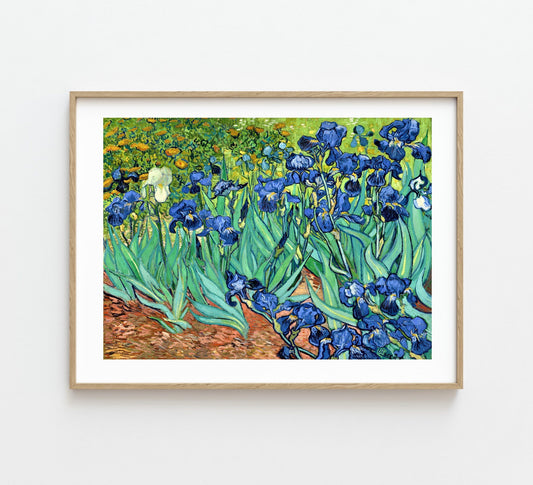 Irises Van Gogh Print
