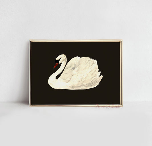 Vintage White Swan in Black Sea Print