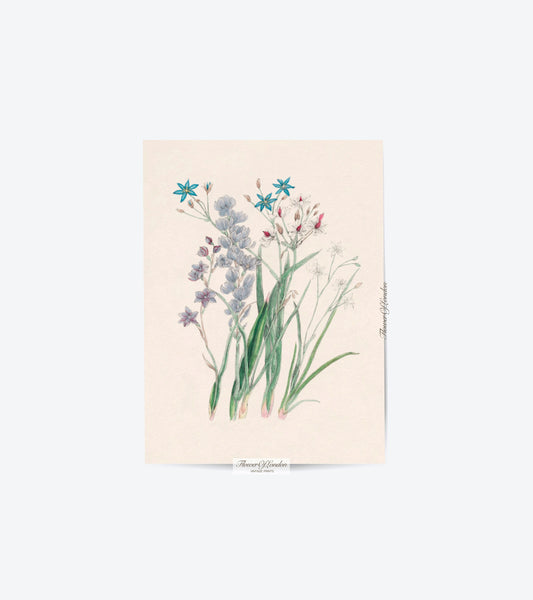Vintage Spring Wildflowers Print #20