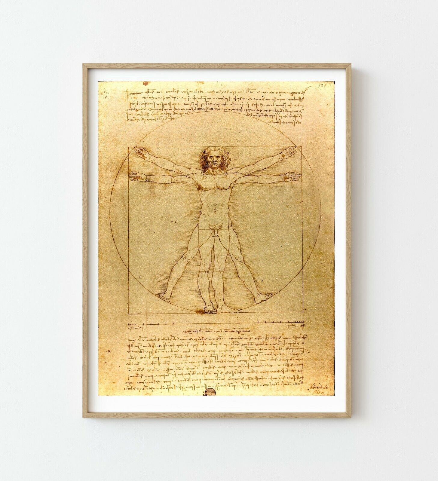 Leonardo Da Vinci Print Vitruvian Man Famous Painting Old Masters Classic Giclee