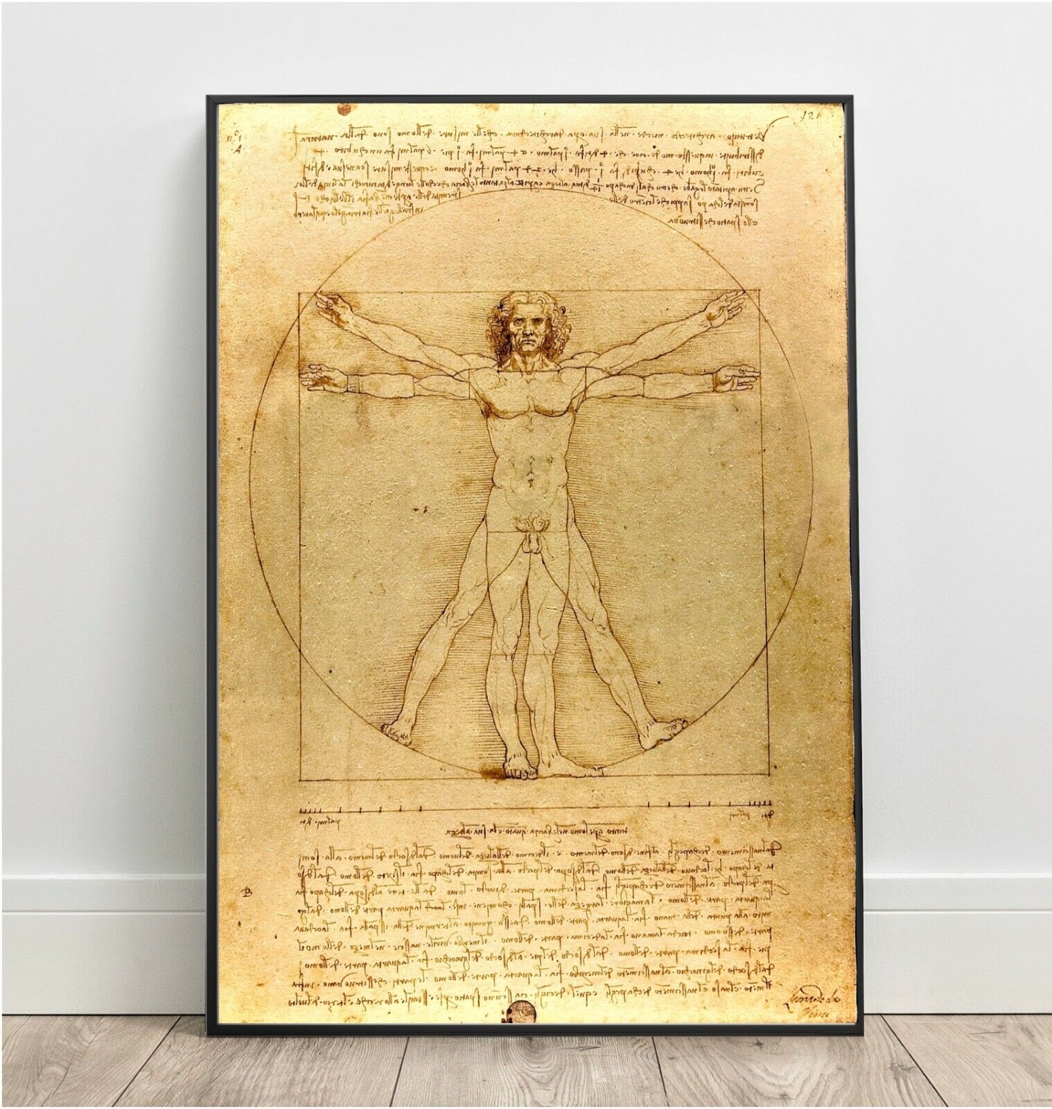 Leonardo Da Vinci Print Vitruvian Man Famous Painting Old Masters Classic Giclee