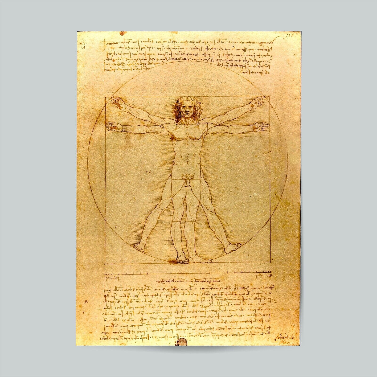 Leonardo Da Vinci Print Vitruvian Man Famous Painting Old Masters Classic Giclee