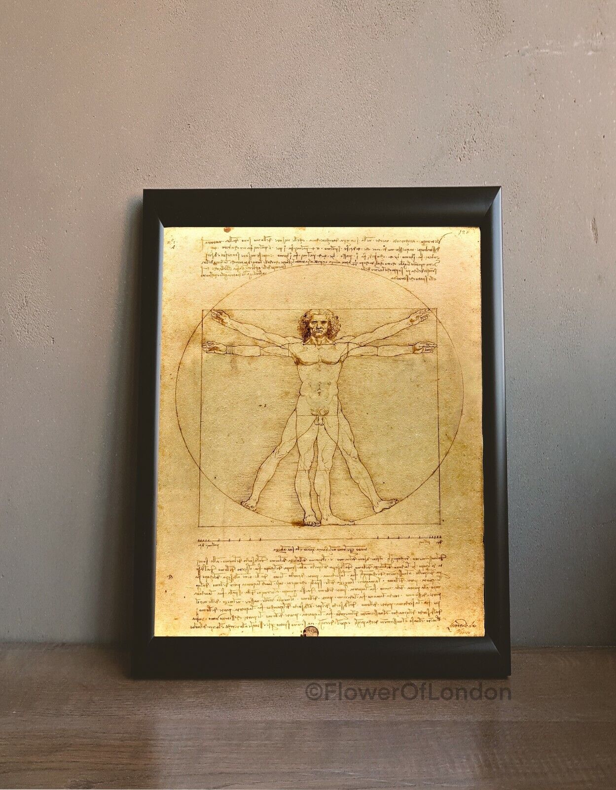 Leonardo Da Vinci Print Vitruvian Man Famous Painting Old Masters Classic Giclee