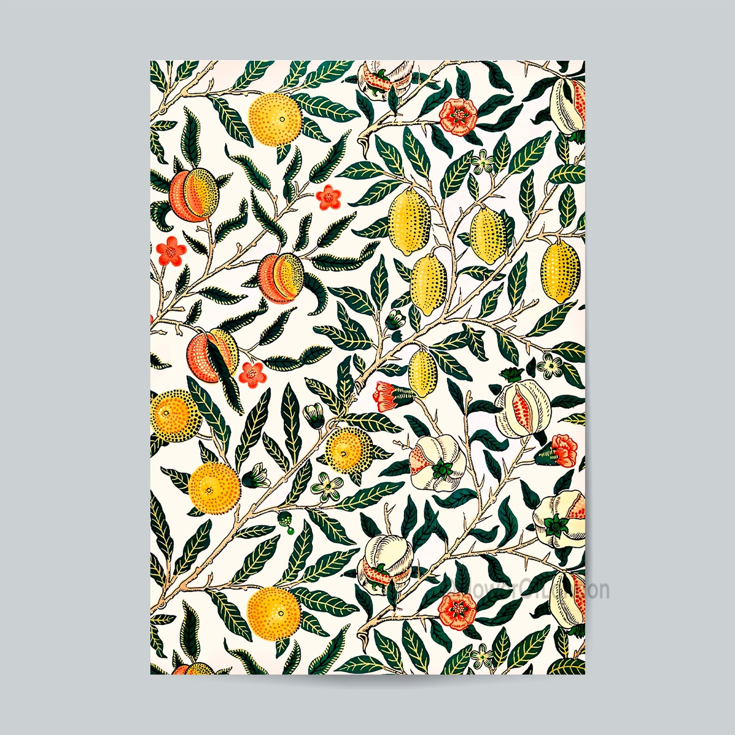 William Morris Print 4 Four Fruits Vintage Wallpaper, Botanical Citrus Pomegranate