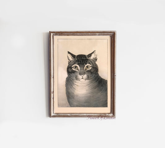 Vintage Quirky Cat Print, Animal Watercolour Drawing, Funny Vintage Cat Print, #30