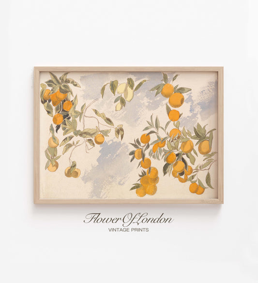 Orange Fruit Print, Vintage Citrus Tree Watercolour, Kitchen Fruits Decor, #70