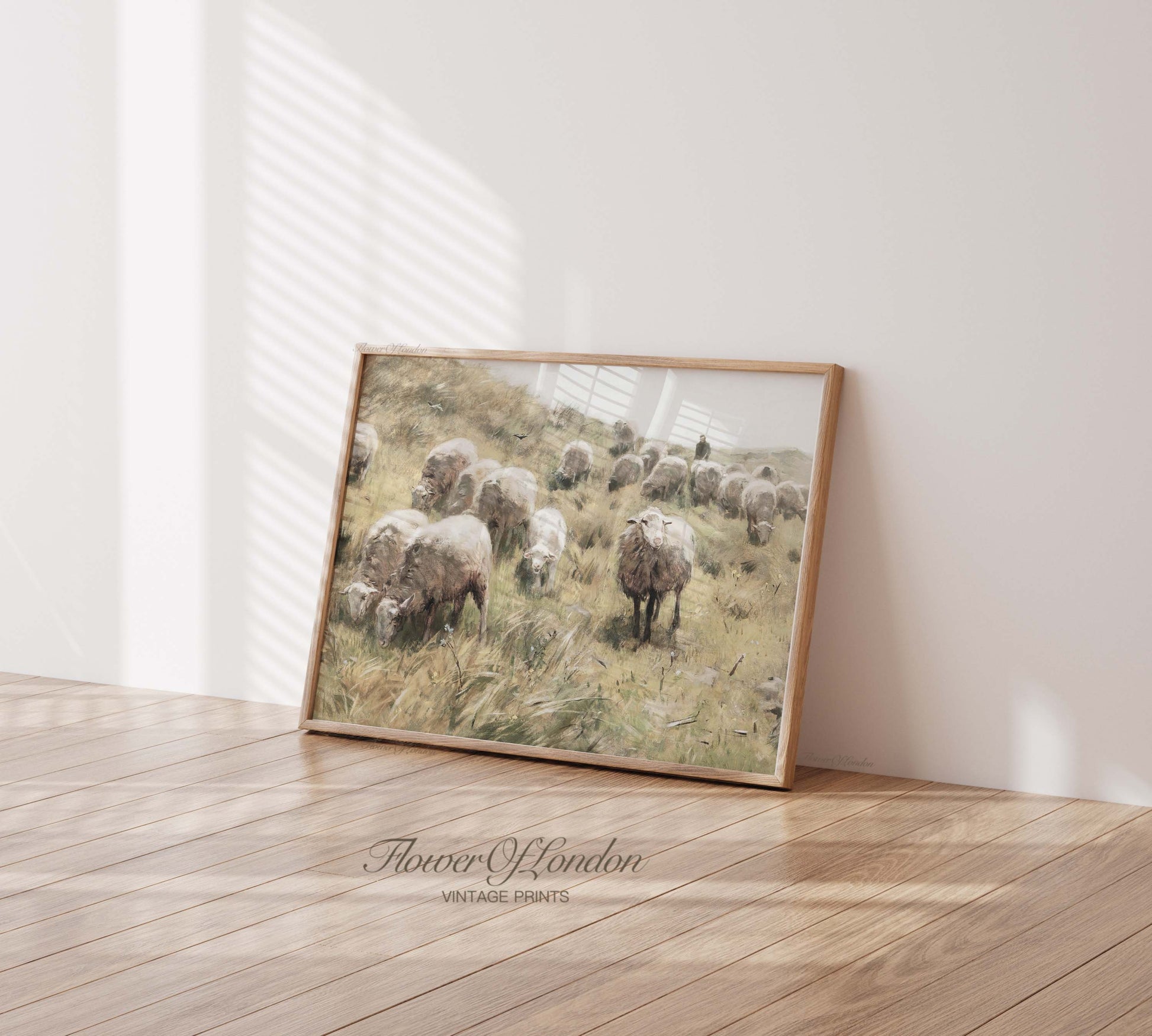 a picture of a herd of sheep grazing in a field