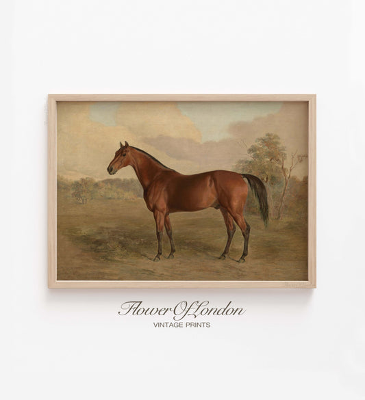 Vintage Brown Horse Print, Minimalist Equestrian Horse Painting, #96