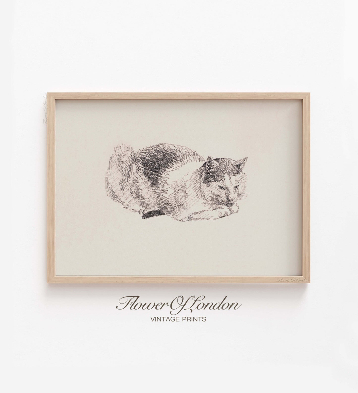 Vintage Cat Print, Minimalist Antique Rustic Black and White Cat Sketch, #142