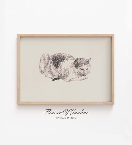 Vintage Cat Print, Minimalist Antique Rustic Black and White Cat Sketch, #142