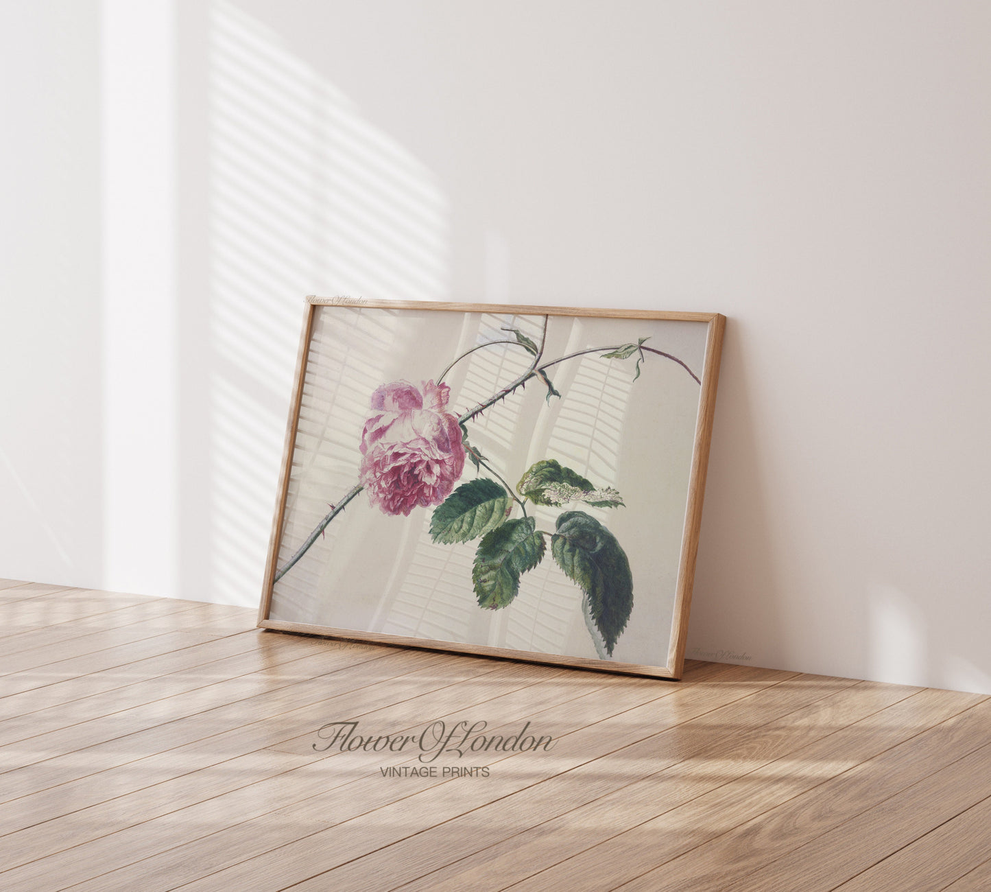 a picture of a pink flower on a white wall