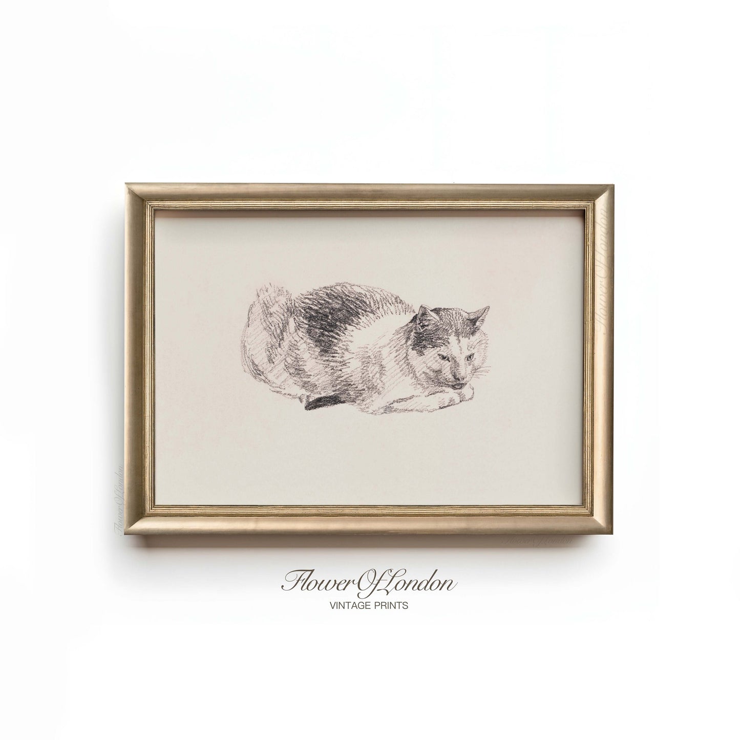 a drawing of a cat is hanging on a wall