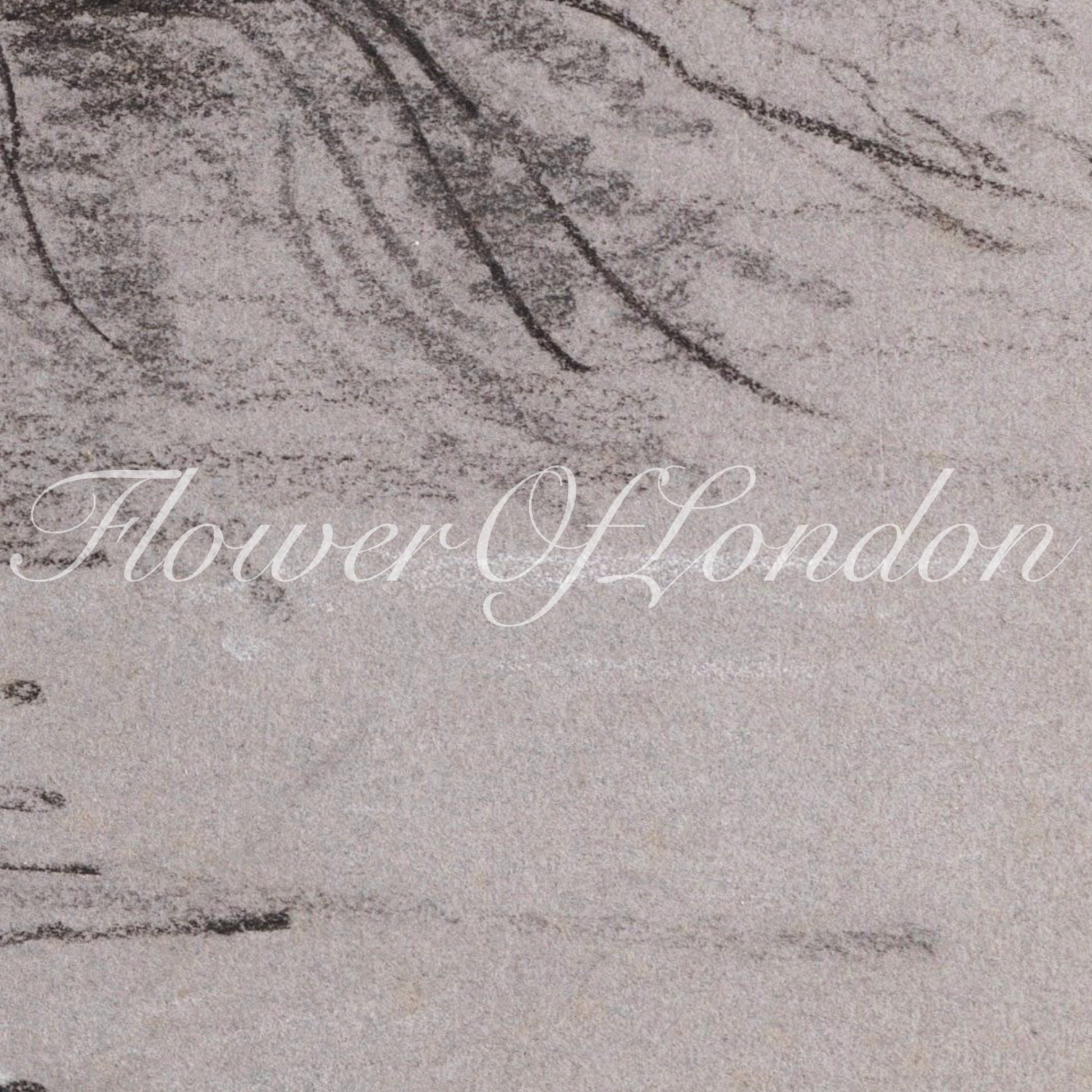 a picture of a sandy beach with the words flower of london written on it