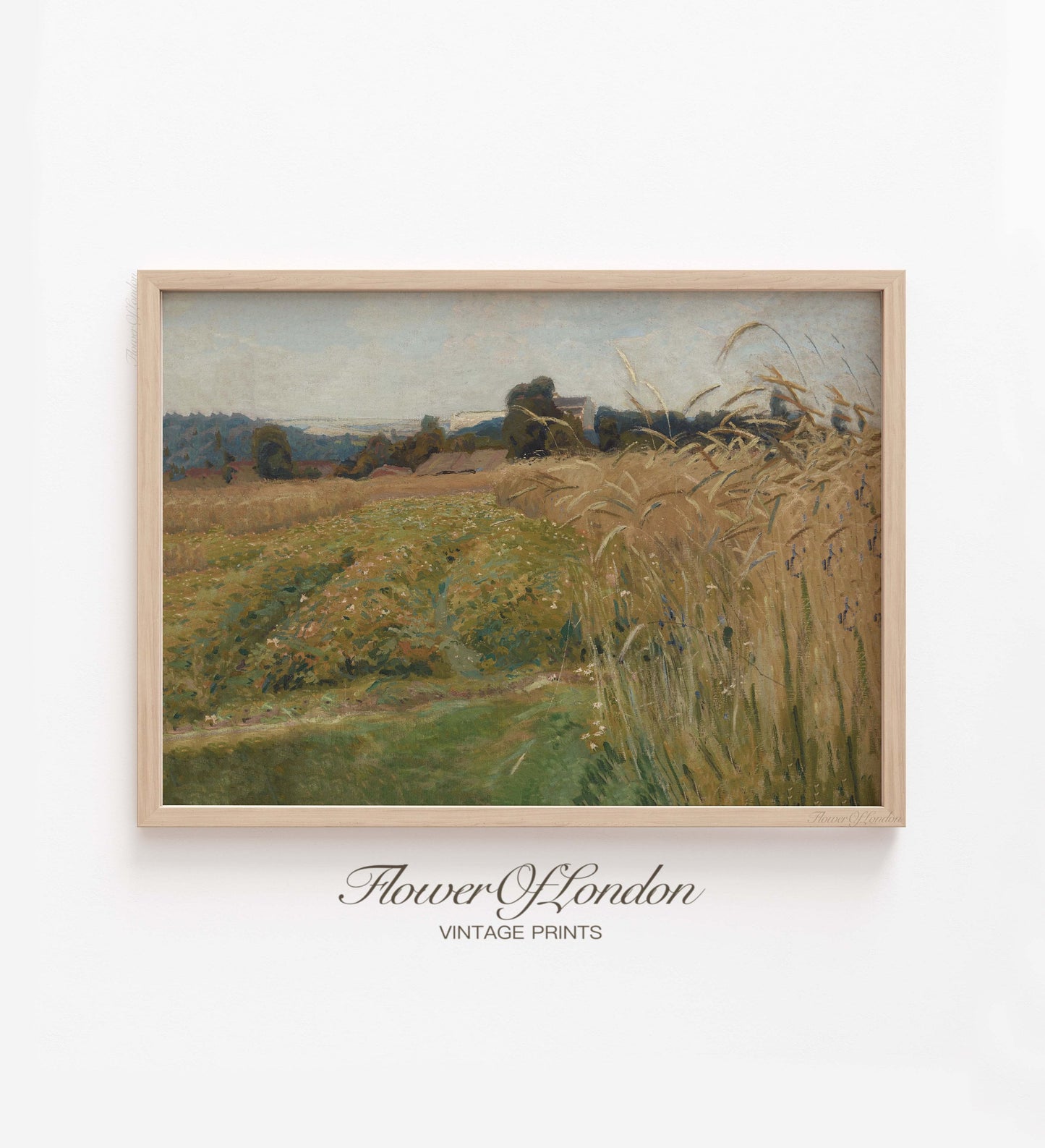 Vintage Wheat Fields Print, Summer Harvest Landscape, Ear of Wheat, #229