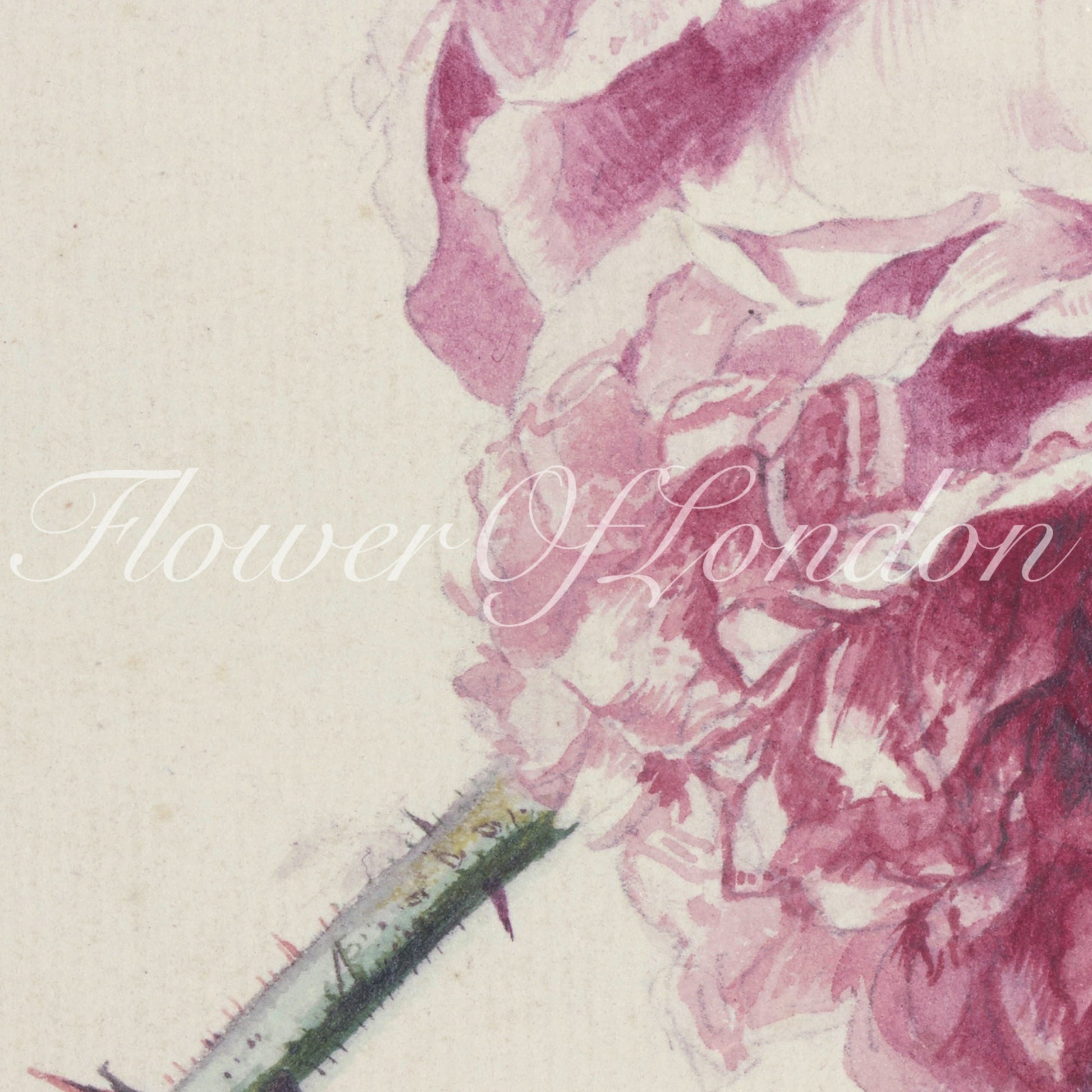 a drawing of a flower with a needle sticking out of it