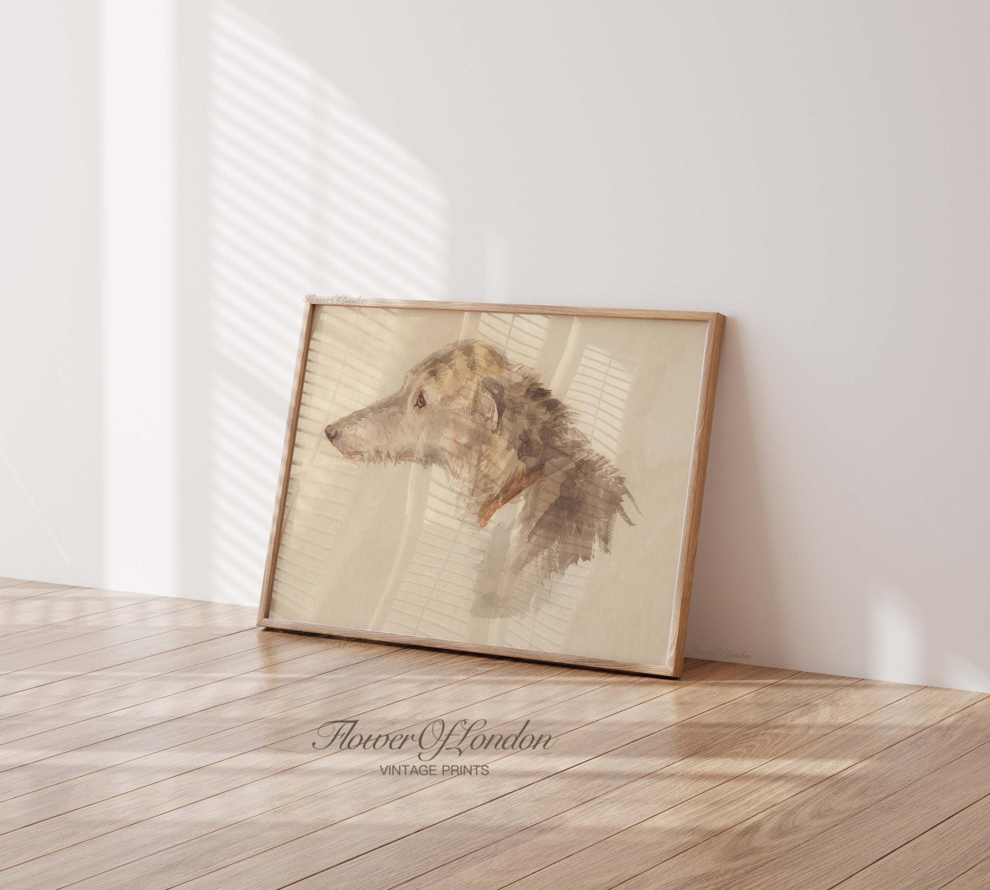 a framed picture of a dog on a wall