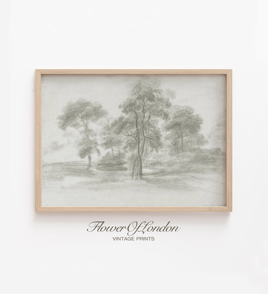 Vintage Trees Sketch Print, Minimalist Rustic Neutral Forest Drawing, #179