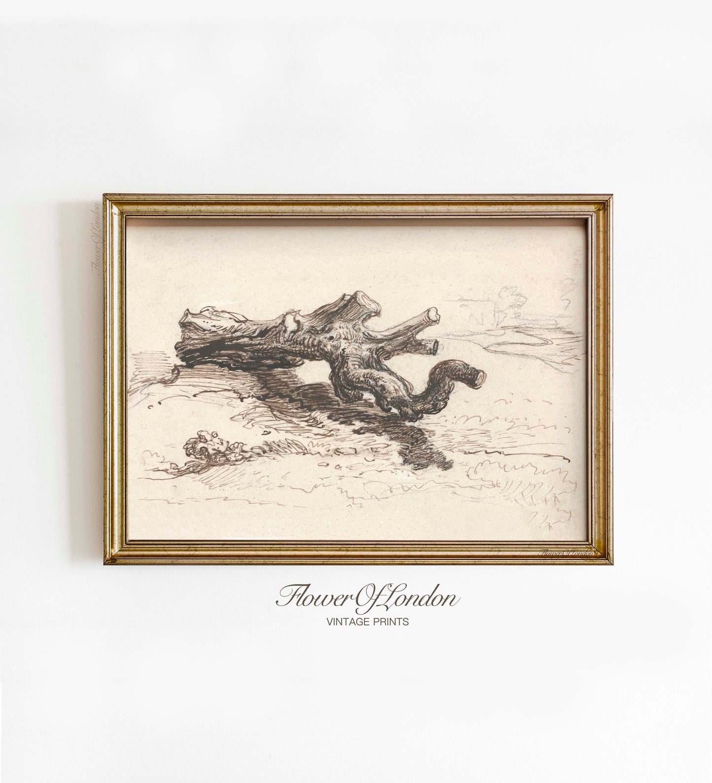 Vintage Tree Snag Sketch Print, Tree Branch Stump Pencil Sketch, #194