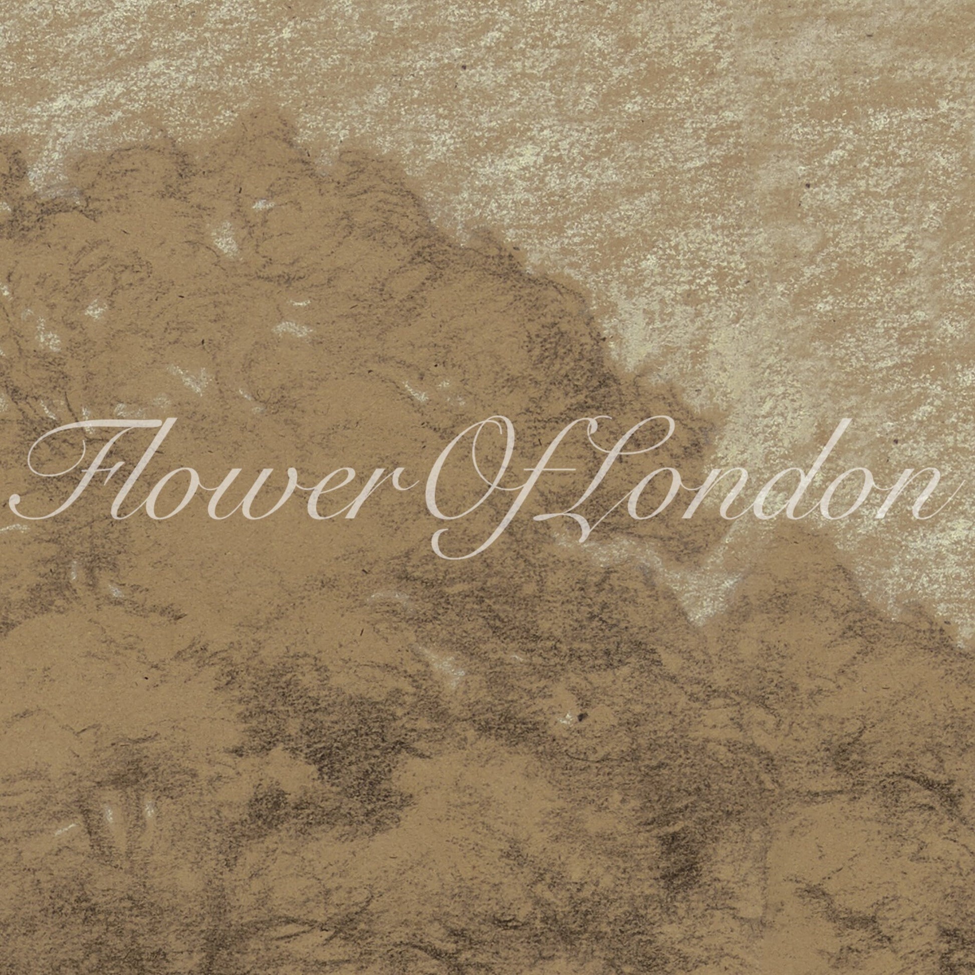 a picture of a flower of london written on the ground