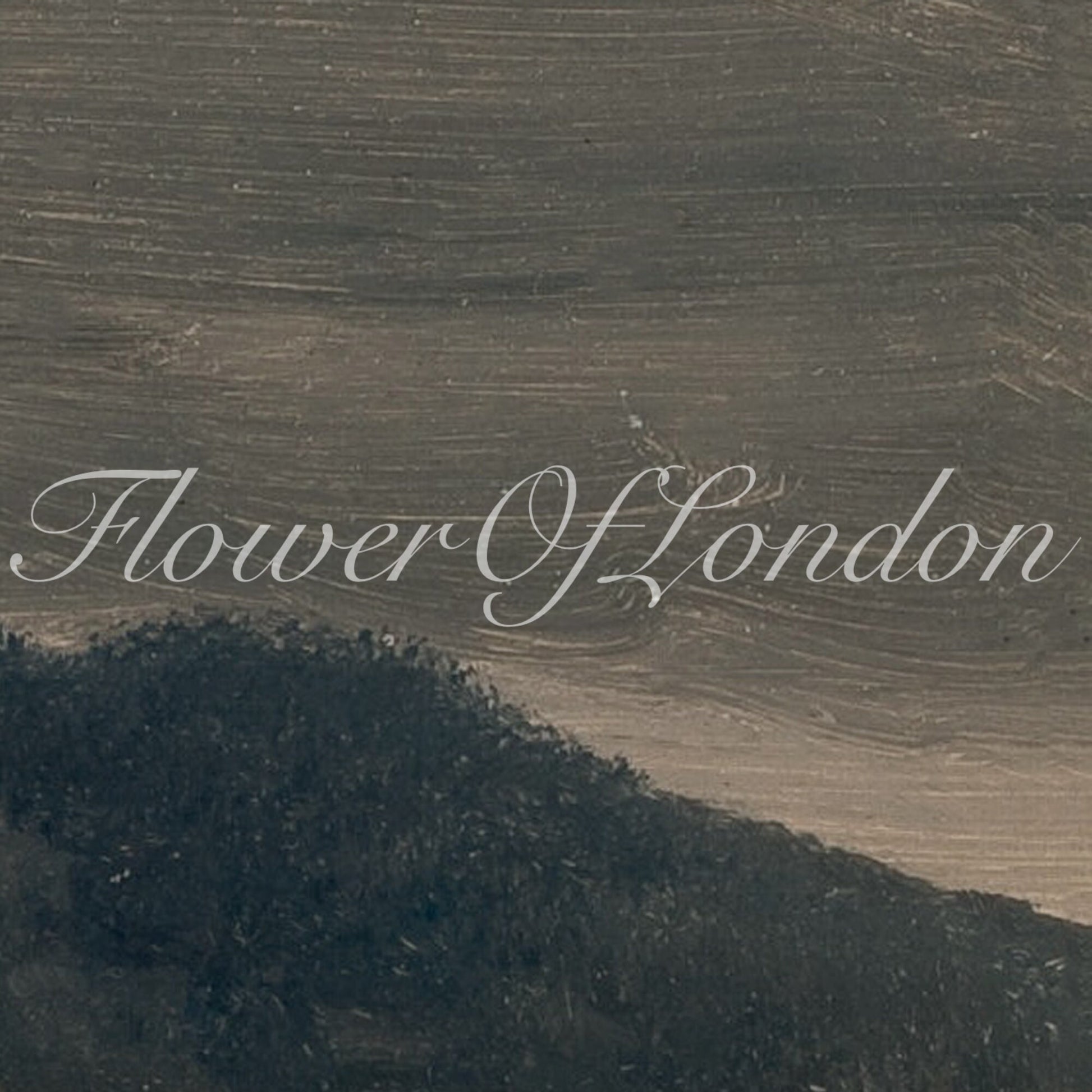 a black and white photo with the words flower of london