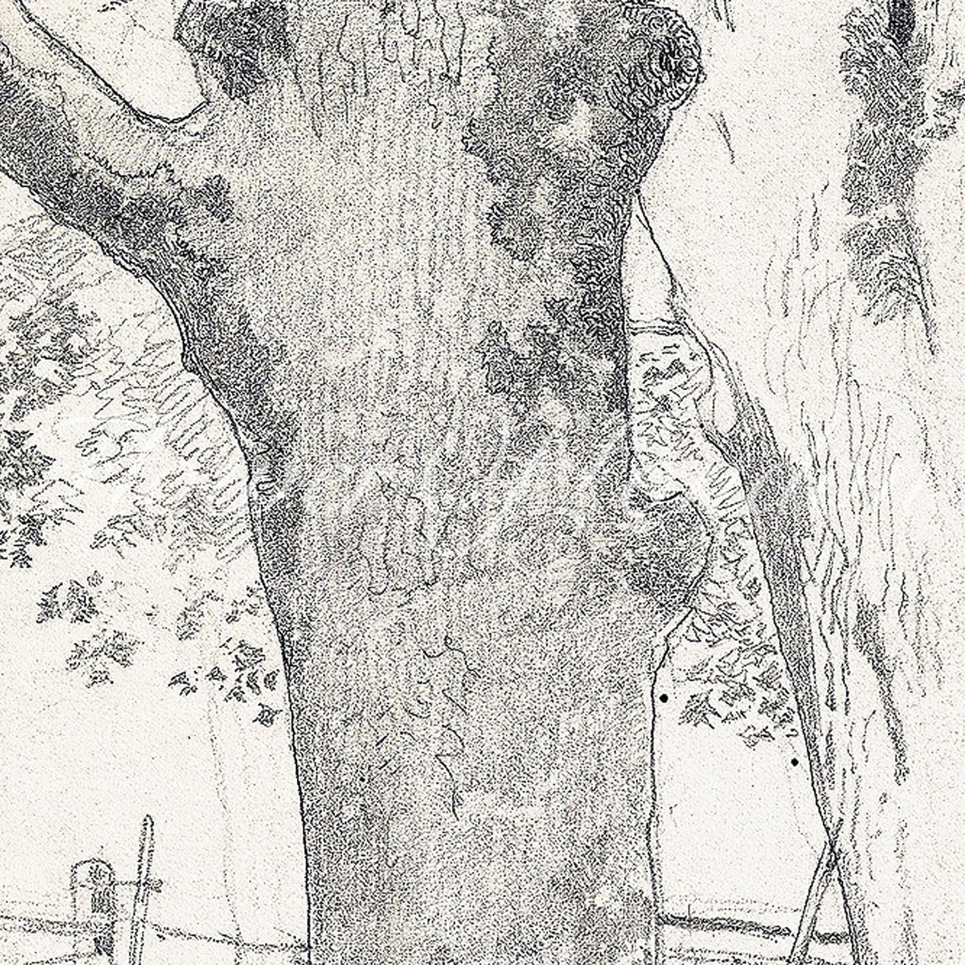 a drawing of a tree with a fence in the background