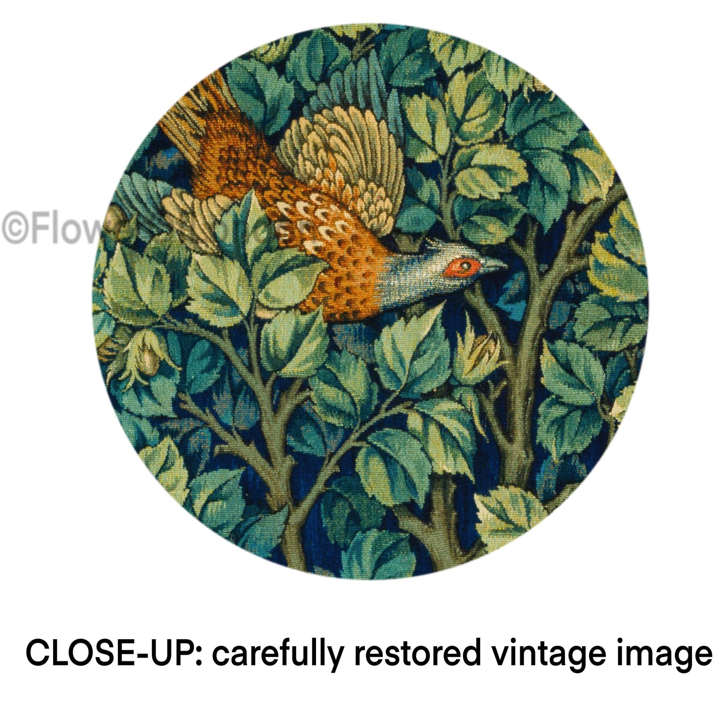 Set of 2 William Morris Posters Peacock & Pimpernel