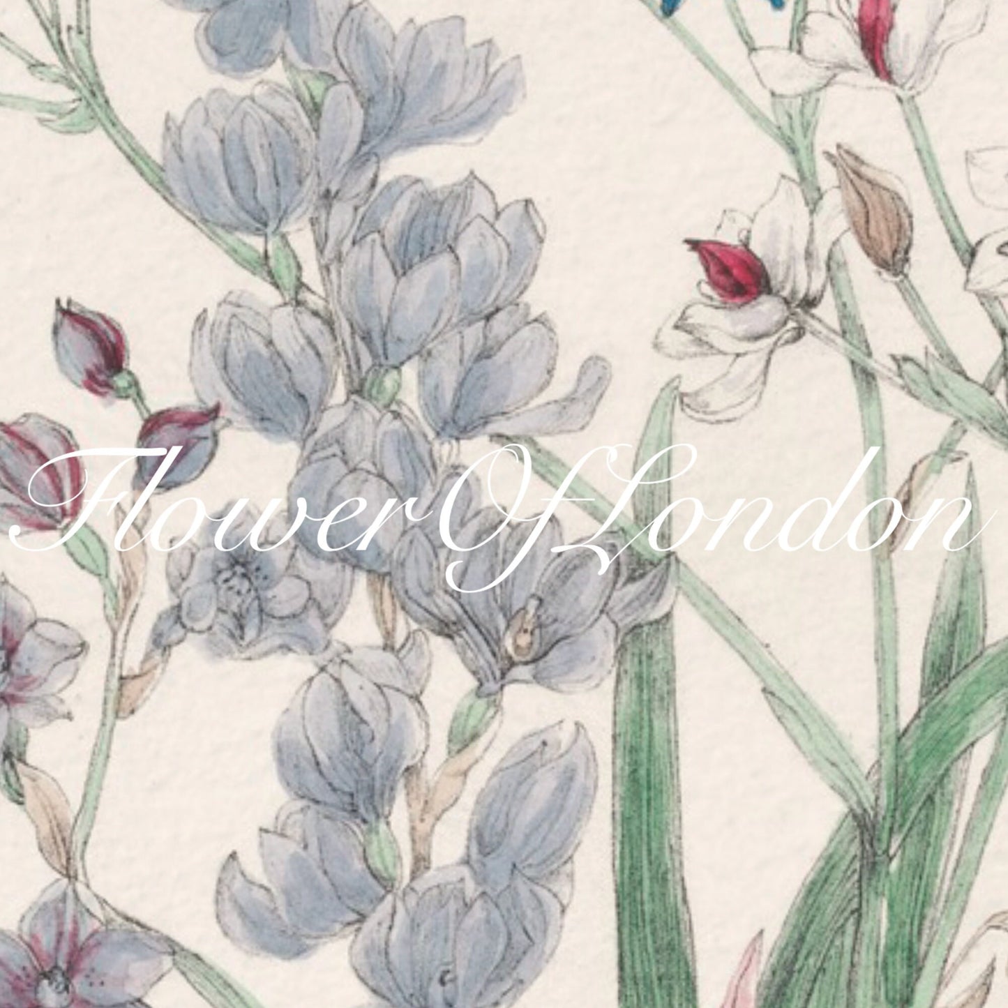 Vintage Spring Wildflowers Print #20