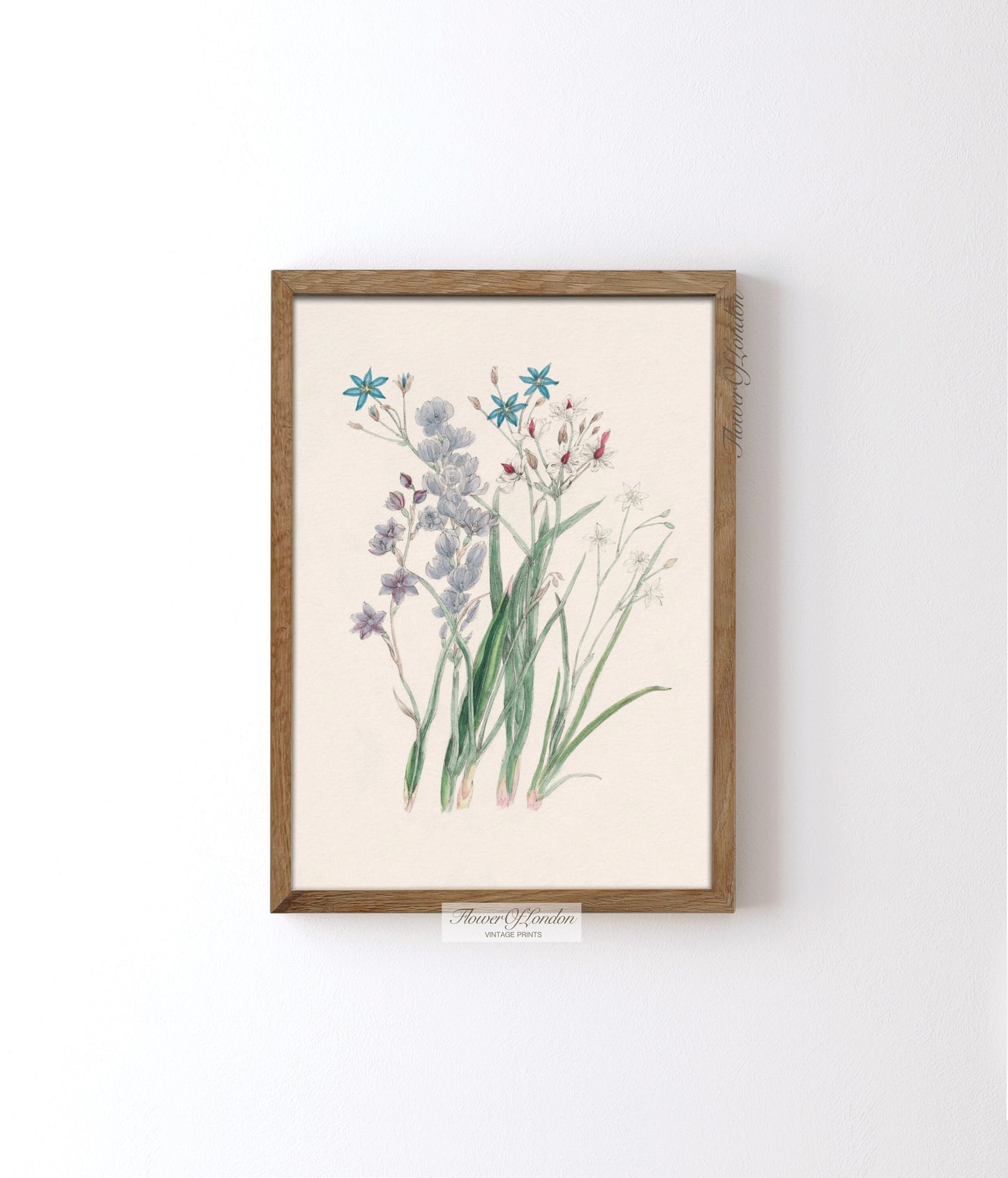 Vintage Spring Wildflowers Print #20