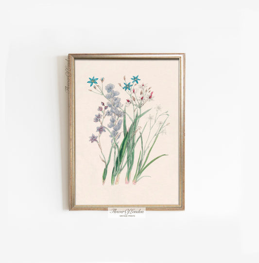 Vintage Spring Wildflowers Print #20