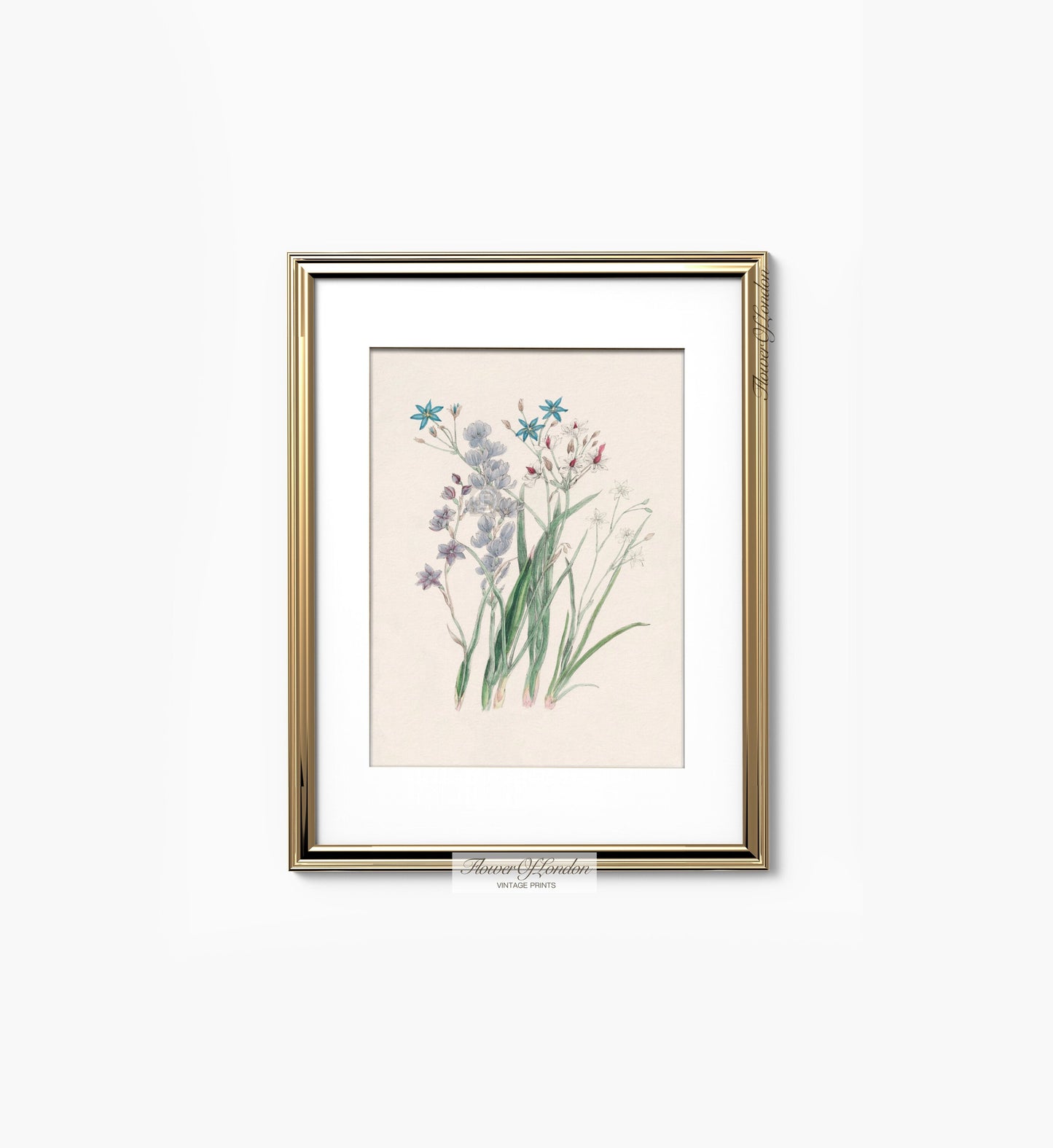 Vintage Spring Wildflowers Print #20