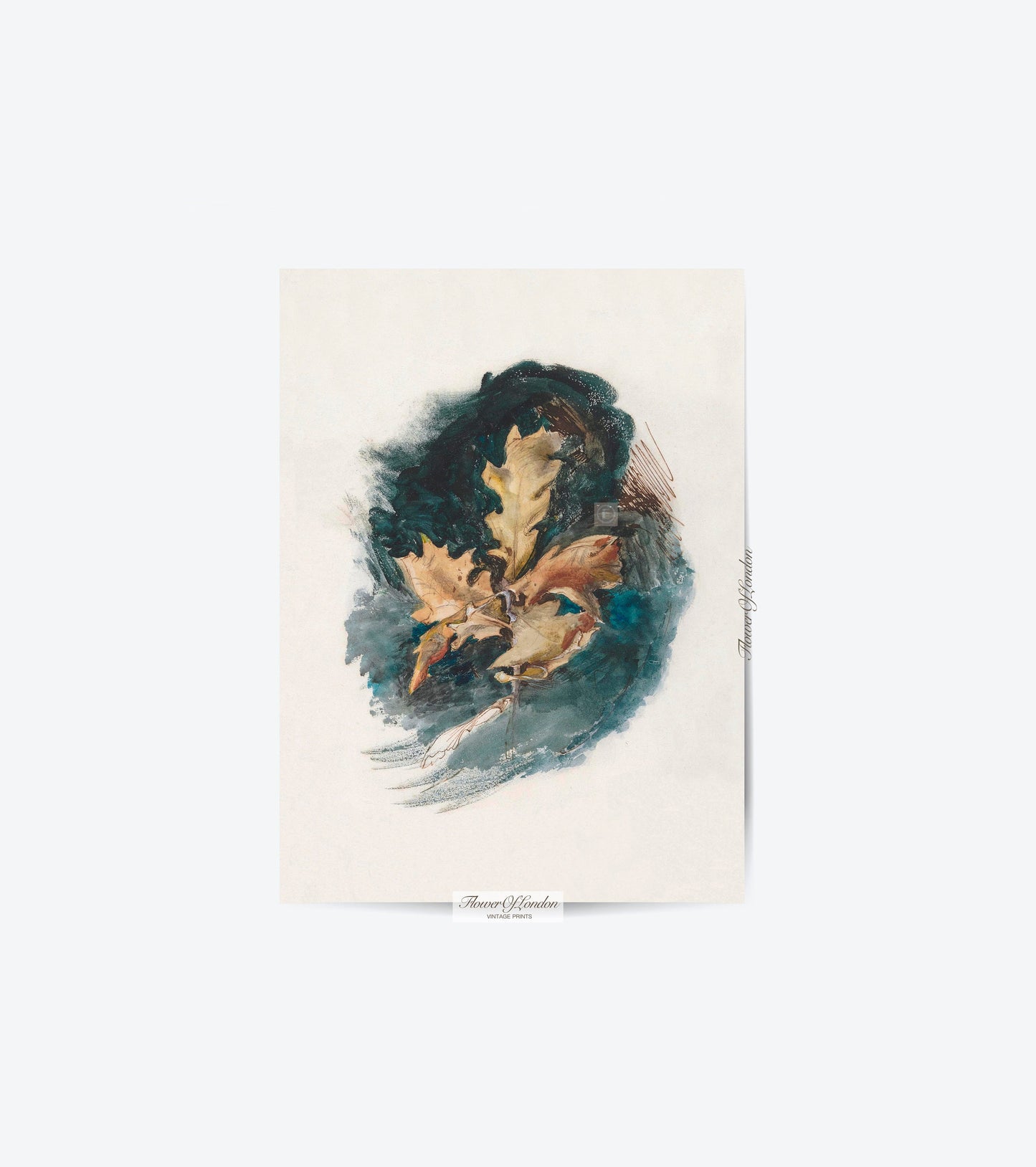 Vintage Autumn Leaf Sketch Print #24